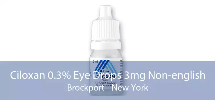 Ciloxan 0.3% Eye Drops 3mg Non-english Brockport - New York