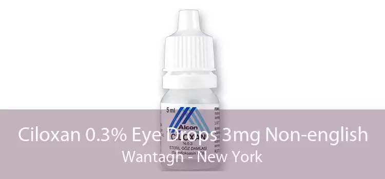 Ciloxan 0.3% Eye Drops 3mg Non-english Wantagh - New York