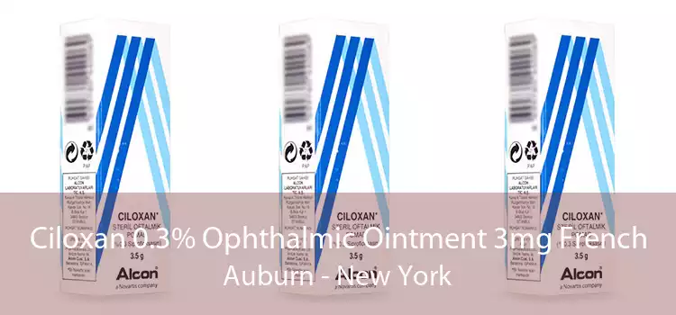 Ciloxan 0.3% Ophthalmic Ointment 3mg French Auburn - New York