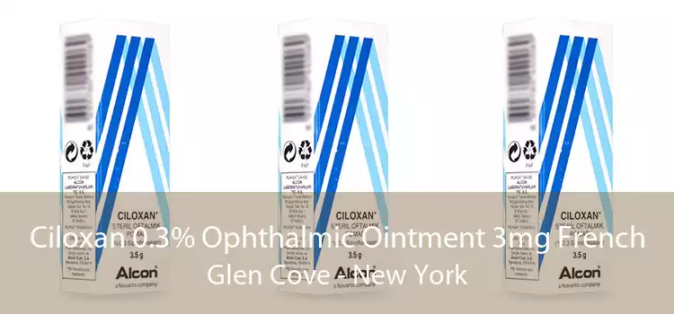 Ciloxan 0.3% Ophthalmic Ointment 3mg French Glen Cove - New York