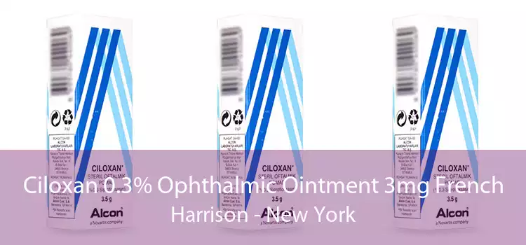 Ciloxan 0.3% Ophthalmic Ointment 3mg French Harrison - New York