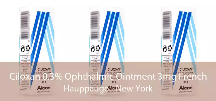 Ciloxan 0.3% Ophthalmic Ointment 3mg French Hauppauge - New York