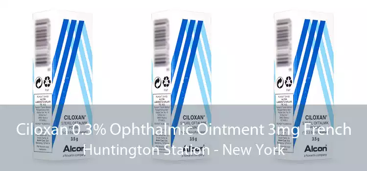 Ciloxan 0.3% Ophthalmic Ointment 3mg French Huntington Station - New York