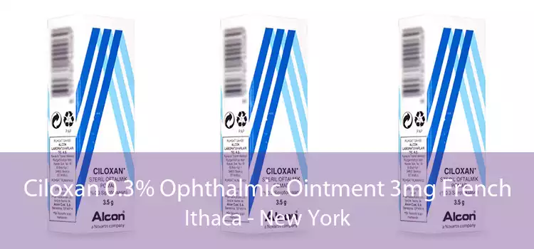 Ciloxan 0.3% Ophthalmic Ointment 3mg French Ithaca - New York