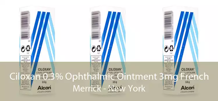 Ciloxan 0.3% Ophthalmic Ointment 3mg French Merrick - New York