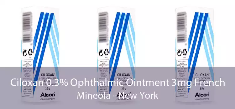 Ciloxan 0.3% Ophthalmic Ointment 3mg French Mineola - New York