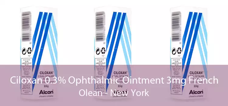 Ciloxan 0.3% Ophthalmic Ointment 3mg French Olean - New York