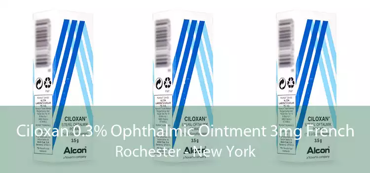 Ciloxan 0.3% Ophthalmic Ointment 3mg French Rochester - New York