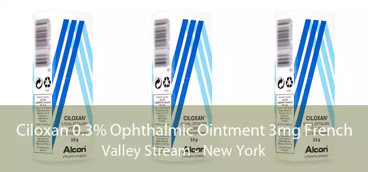 Ciloxan 0.3% Ophthalmic Ointment 3mg French Valley Stream - New York