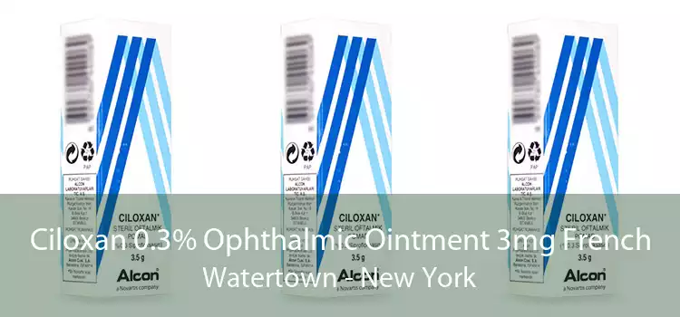 Ciloxan 0.3% Ophthalmic Ointment 3mg French Watertown - New York