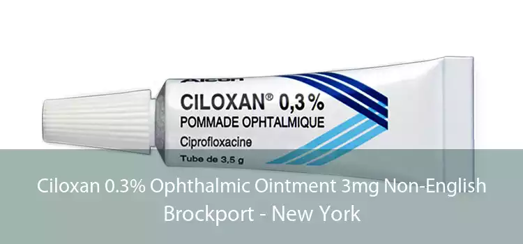 Ciloxan 0.3% Ophthalmic Ointment 3mg Non-English Brockport - New York