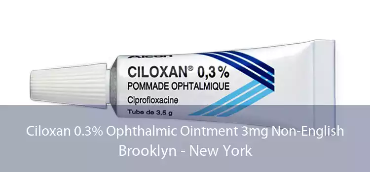 Ciloxan 0.3% Ophthalmic Ointment 3mg Non-English Brooklyn - New York