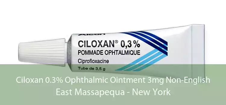 Ciloxan 0.3% Ophthalmic Ointment 3mg Non-English East Massapequa - New York