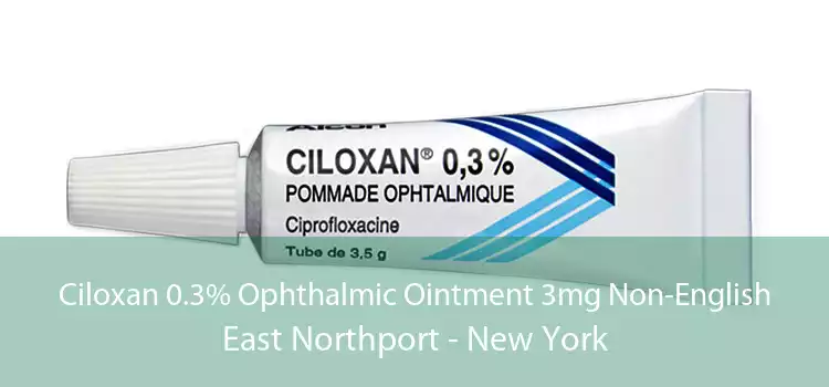 Ciloxan 0.3% Ophthalmic Ointment 3mg Non-English East Northport - New York