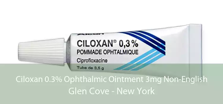 Ciloxan 0.3% Ophthalmic Ointment 3mg Non-English Glen Cove - New York