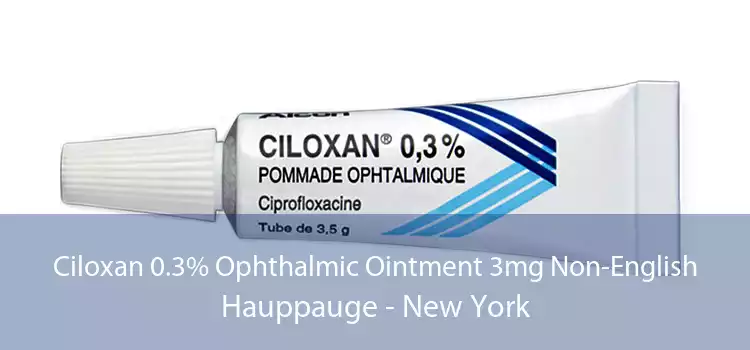 Ciloxan 0.3% Ophthalmic Ointment 3mg Non-English Hauppauge - New York