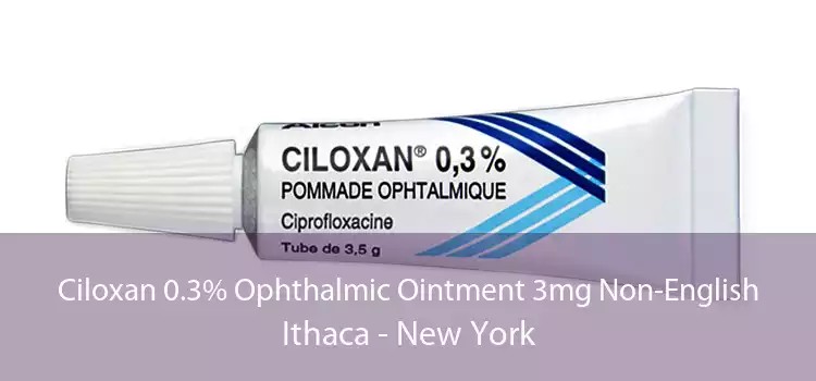 Ciloxan 0.3% Ophthalmic Ointment 3mg Non-English Ithaca - New York