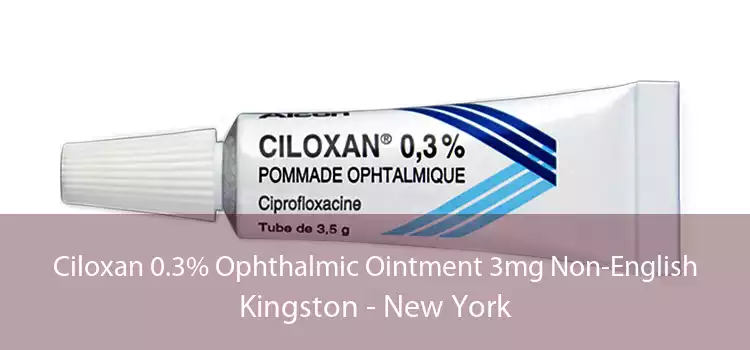 Ciloxan 0.3% Ophthalmic Ointment 3mg Non-English Kingston - New York