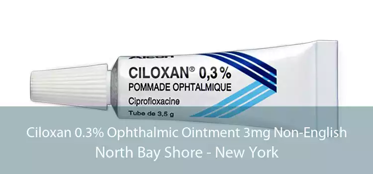 Ciloxan 0.3% Ophthalmic Ointment 3mg Non-English North Bay Shore - New York