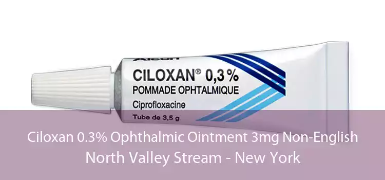 Ciloxan 0.3% Ophthalmic Ointment 3mg Non-English North Valley Stream - New York