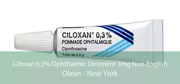 Ciloxan 0.3% Ophthalmic Ointment 3mg Non-English Olean - New York