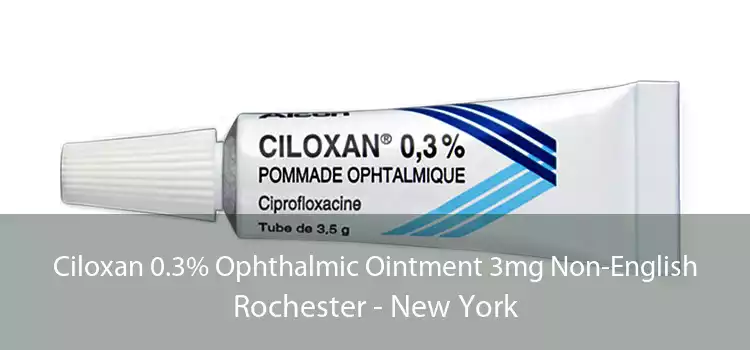 Ciloxan 0.3% Ophthalmic Ointment 3mg Non-English Rochester - New York
