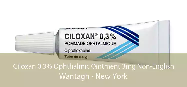 Ciloxan 0.3% Ophthalmic Ointment 3mg Non-English Wantagh - New York