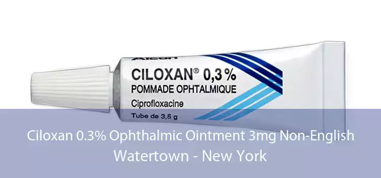 Ciloxan 0.3% Ophthalmic Ointment 3mg Non-English Watertown - New York