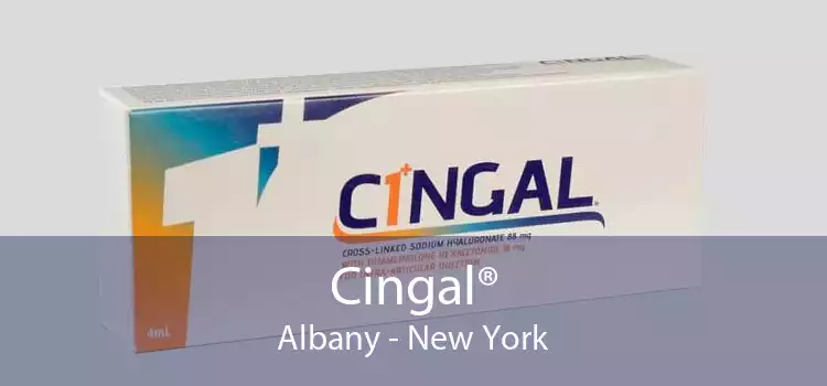 Cingal® Albany - New York