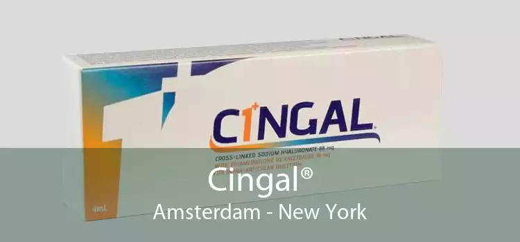Cingal® Amsterdam - New York