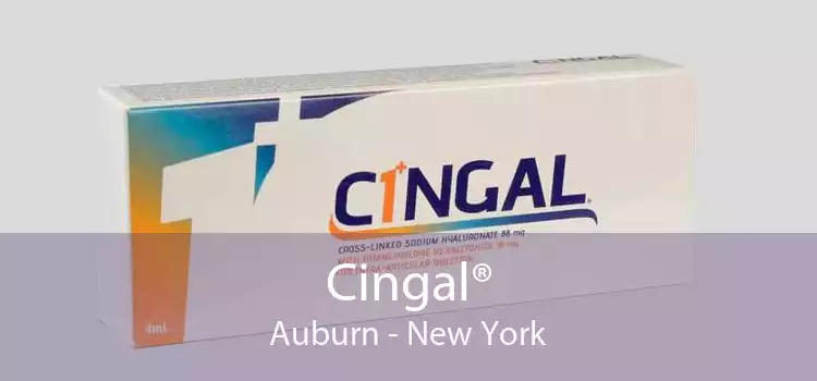 Cingal® Auburn - New York