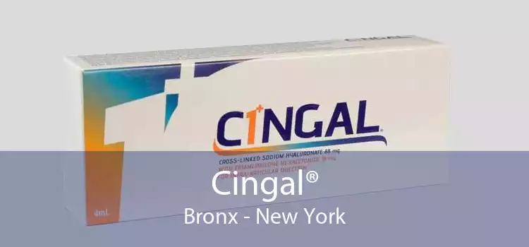 Cingal® Bronx - New York