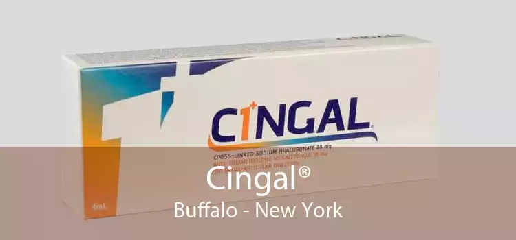 Cingal® Buffalo - New York