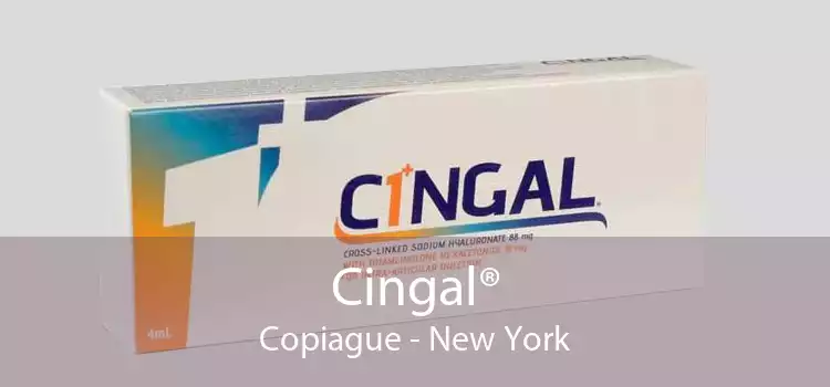 Cingal® Copiague - New York