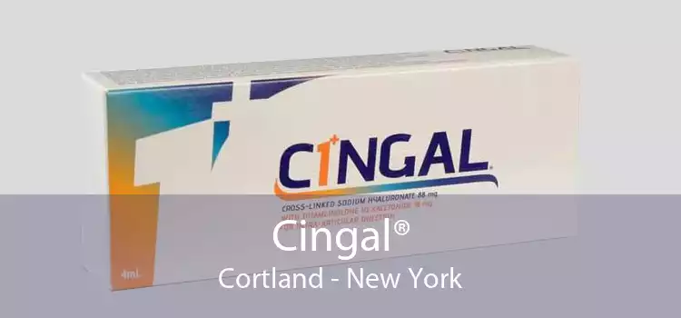 Cingal® Cortland - New York