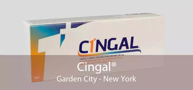 Cingal® Garden City - New York