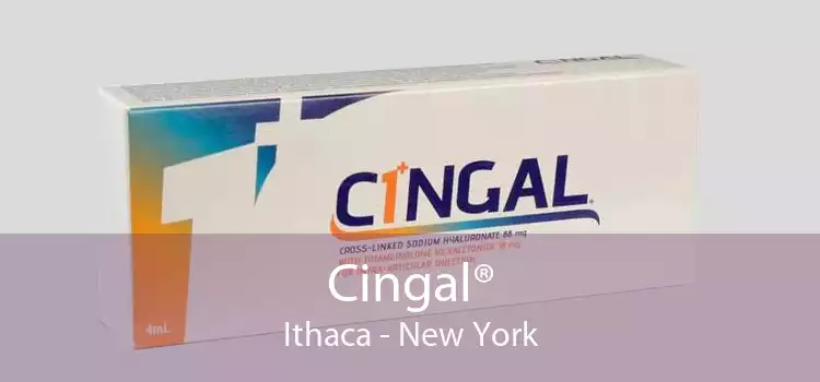 Cingal® Ithaca - New York