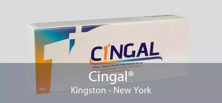 Cingal® Kingston - New York