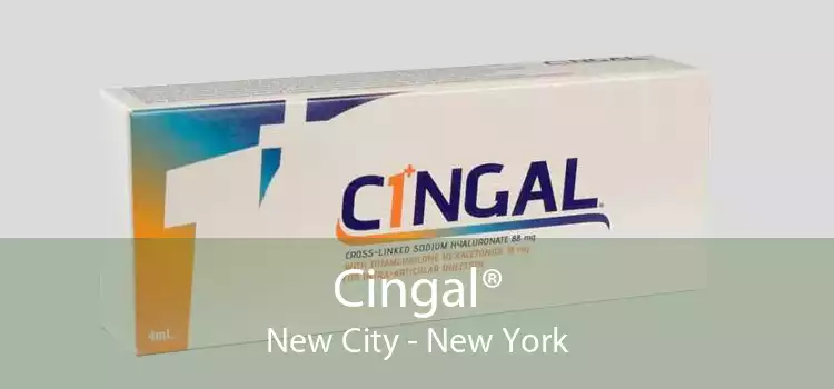 Cingal® New City - New York