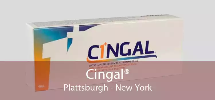 Cingal® Plattsburgh - New York