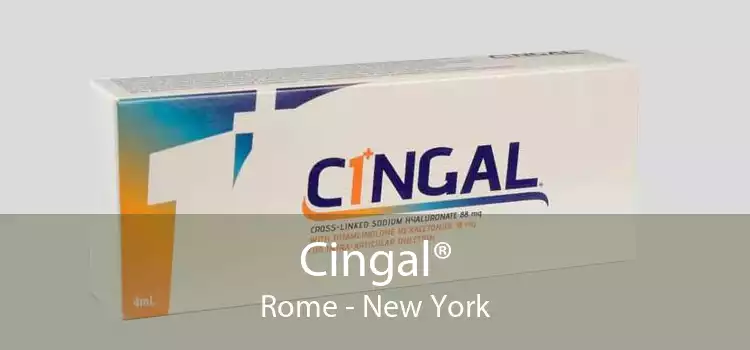 Cingal® Rome - New York