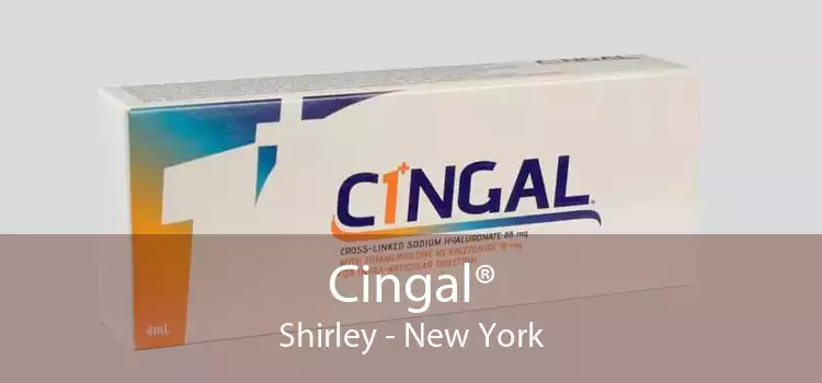 Cingal® Shirley - New York