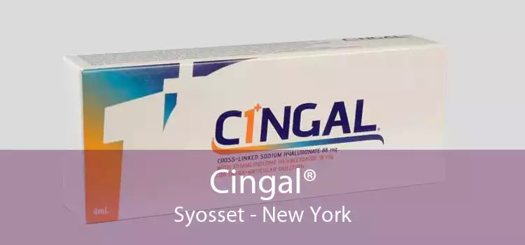 Cingal® Syosset - New York