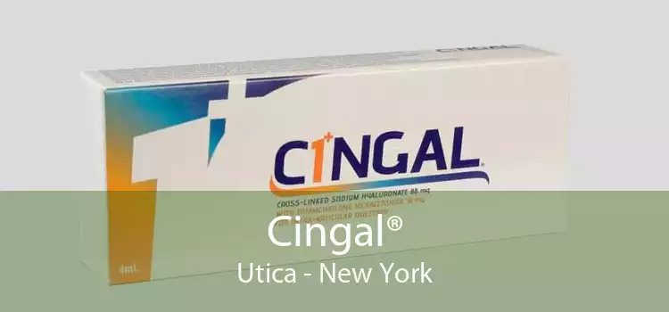 Cingal® Utica - New York