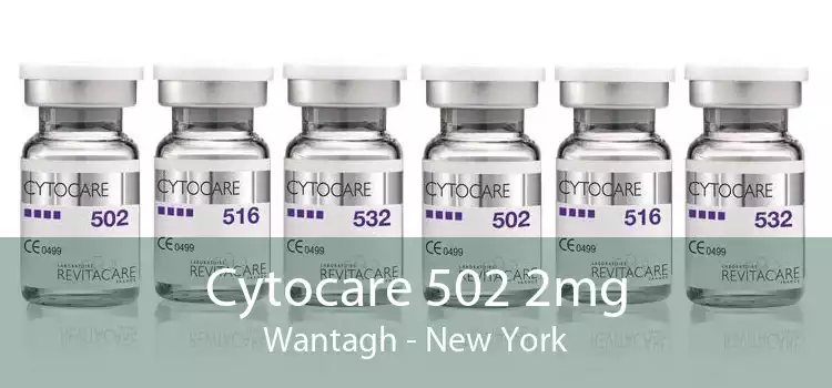 Cytocare 502 2mg Wantagh - New York
