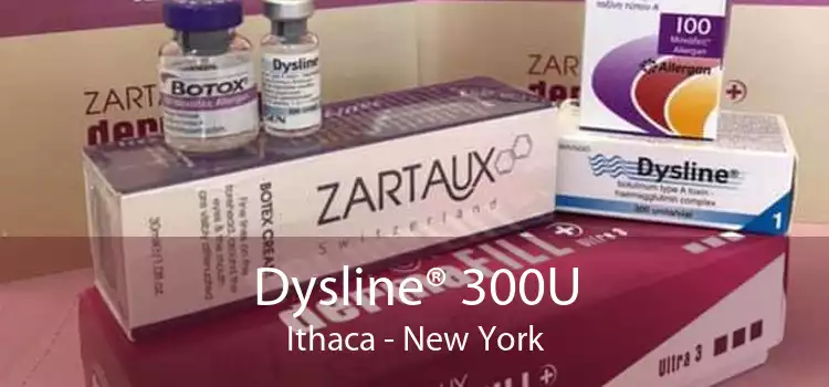 Dysline® 300U Ithaca - New York