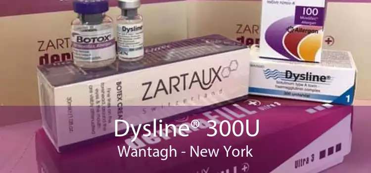 Dysline® 300U Wantagh - New York
