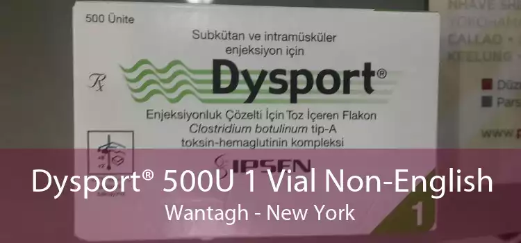 Dysport® 500U 1 Vial Non-English Wantagh - New York