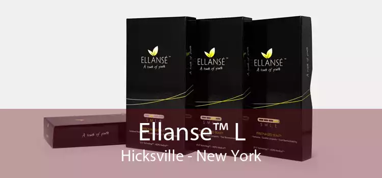 Ellanse™ L Hicksville - New York