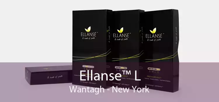 Ellanse™ L Wantagh - New York